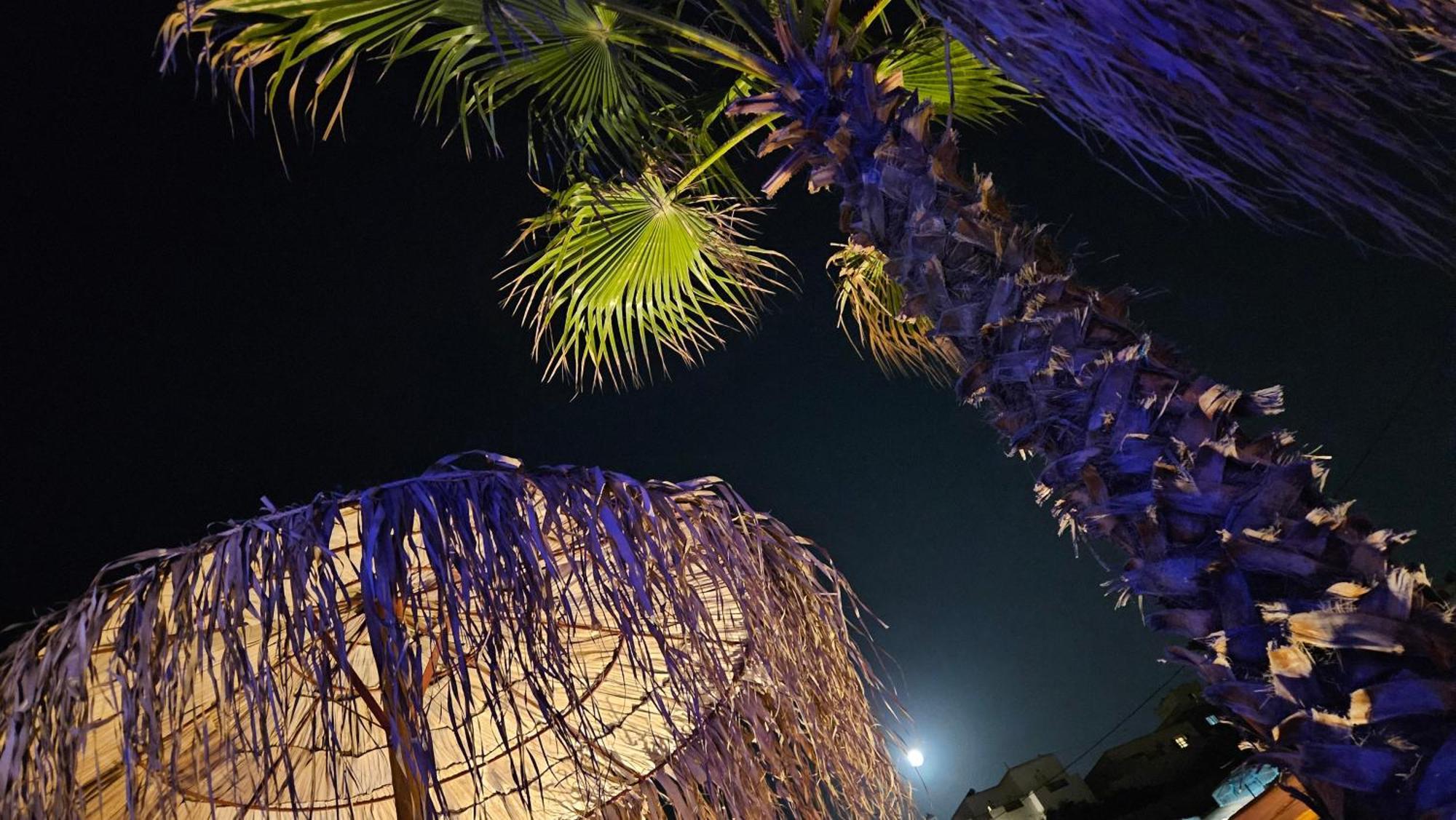 Elli Tropical Suites Mykonos Town Buitenkant foto