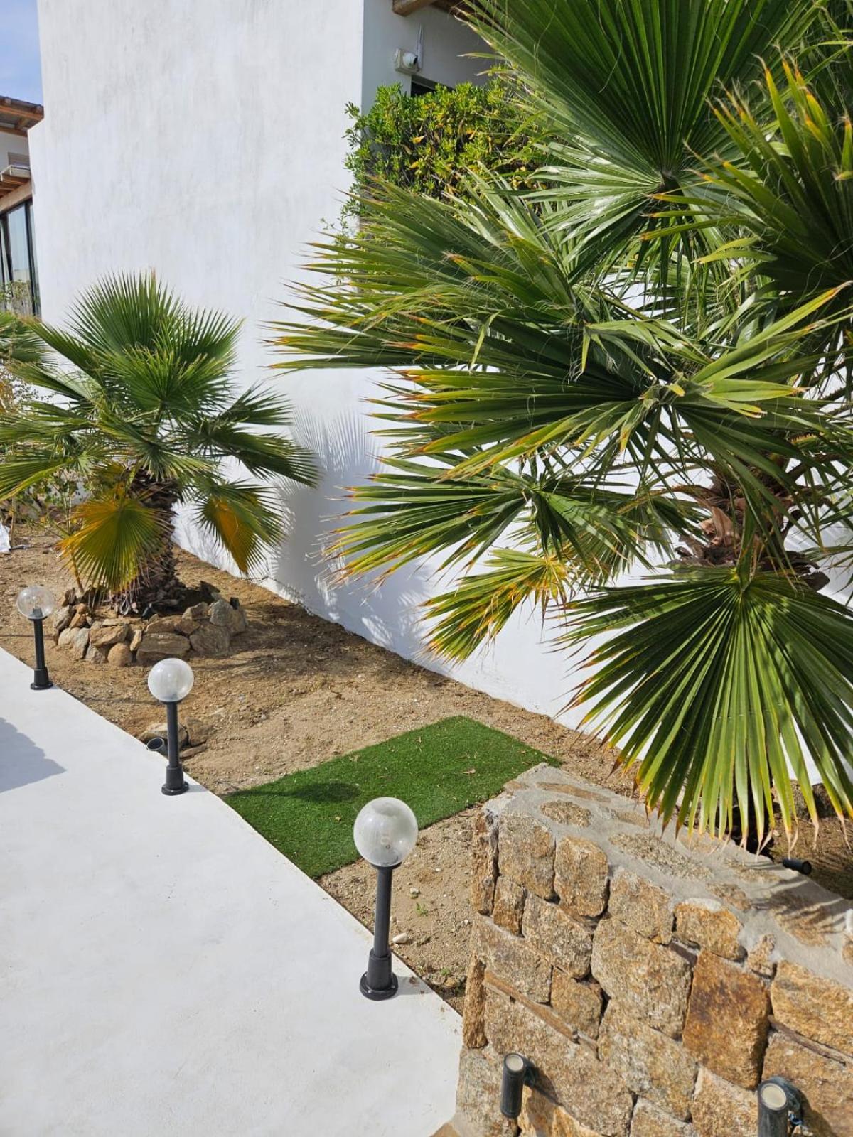 Elli Tropical Suites Mykonos Town Buitenkant foto